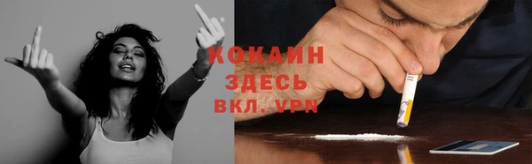 меф Мегион