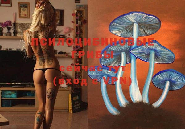 меф Мегион