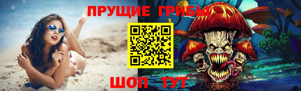 Псилоцибиновые грибы Cubensis Михайловск